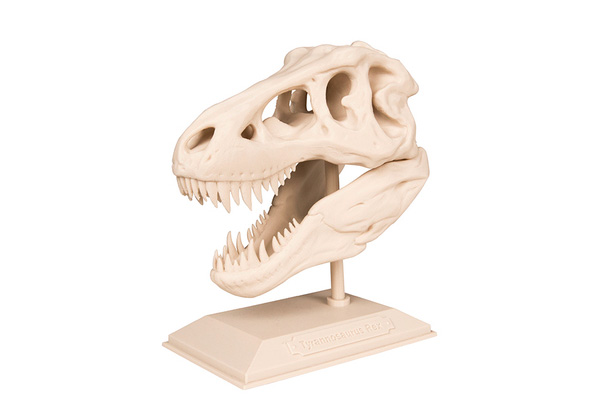 The T-Rex Skull 3d print 3dhub.gr