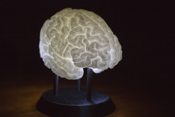 Human Brain 3d Print 3dhub.gr