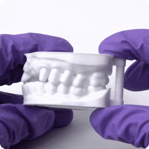 Phrozen Dental Study Model Resin 3DHUBgr